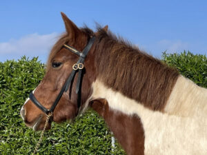 Més informació sobre l'article Mónica