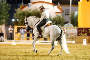 Més informació sobre l'article Pura Raça Espanyola (PRE)